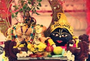 Read more about the article शालिग्राम आरती | Shaligram Aarti